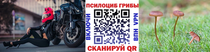 Галлюциногенные грибы ЛСД  Ипатово 